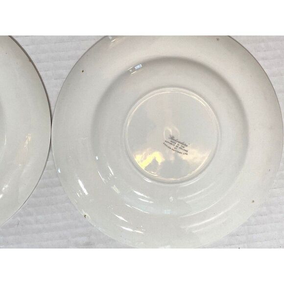 Arklow Belvedere Salad Plate Arkbel White scrolls Urns on blue/gray READ VTG - Picture 9 of 13